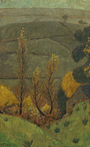 peupliers-dans-un-vallon